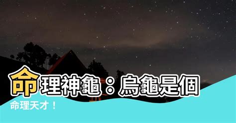 烏龜 五行|龜五行與命理關係